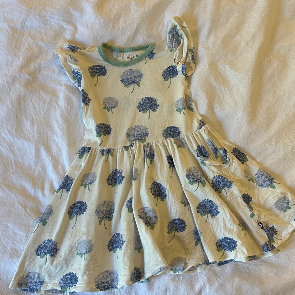 Kyte BABY Blue Floral Dress